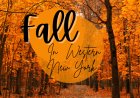 What to Do in Buffalo This Fall: Top 13 Seasonal Picks (2025)
