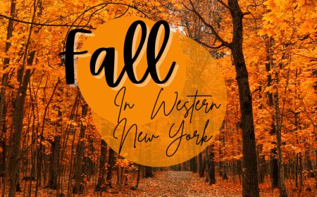 What to Do in Buffalo This Fall: Top 13 Seasonal Picks (2025)