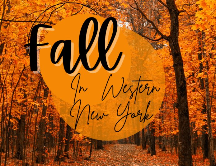 What to Do in Buffalo This Fall: Top 13 Seasonal Picks (2025)