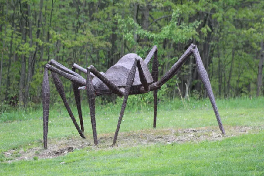 Explore Griffis Sculpture Park