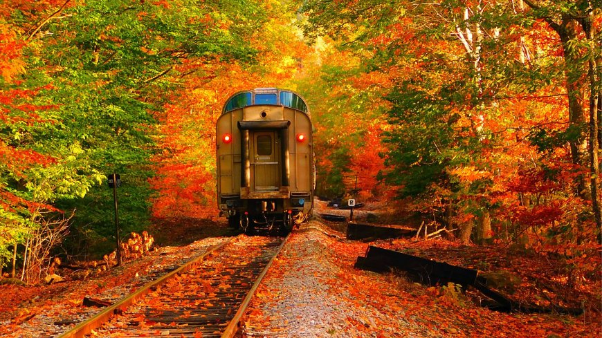 Take a Fall Foliage Train Ride