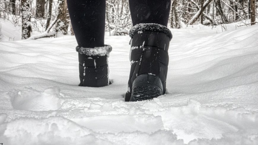 Winter Wanderlust: Frosty Footsteps & Snowy Trails